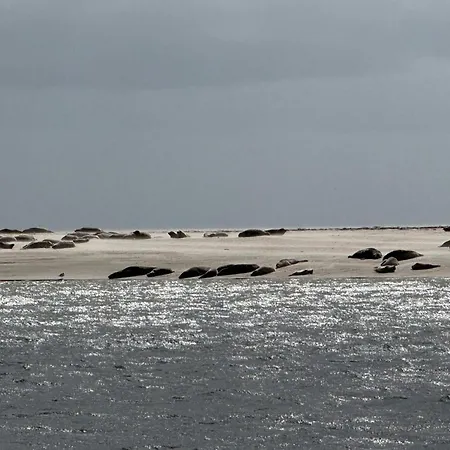 4 Star In * Fanø